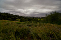 20200806001