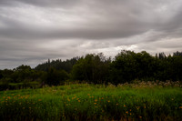 20200806005